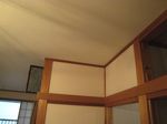 IMG_1537_R.jpg