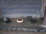 IMG_2862_R.jpg