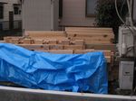 IMG_3103_R.jpg