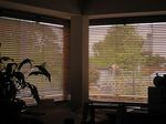 IMG_4237_R.jpg
