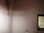IMG_4446_R.jpg
