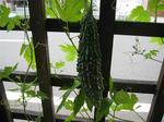 IMG_5379_R.jpg
