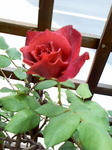 Image034.jpg